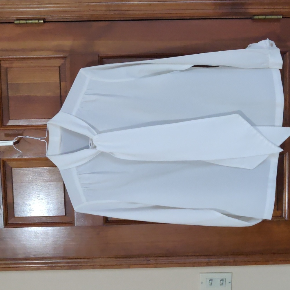 Ladies Long Sleeve Button Down Dress Shirt/Blousr